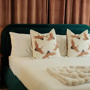 The Mod Hotel