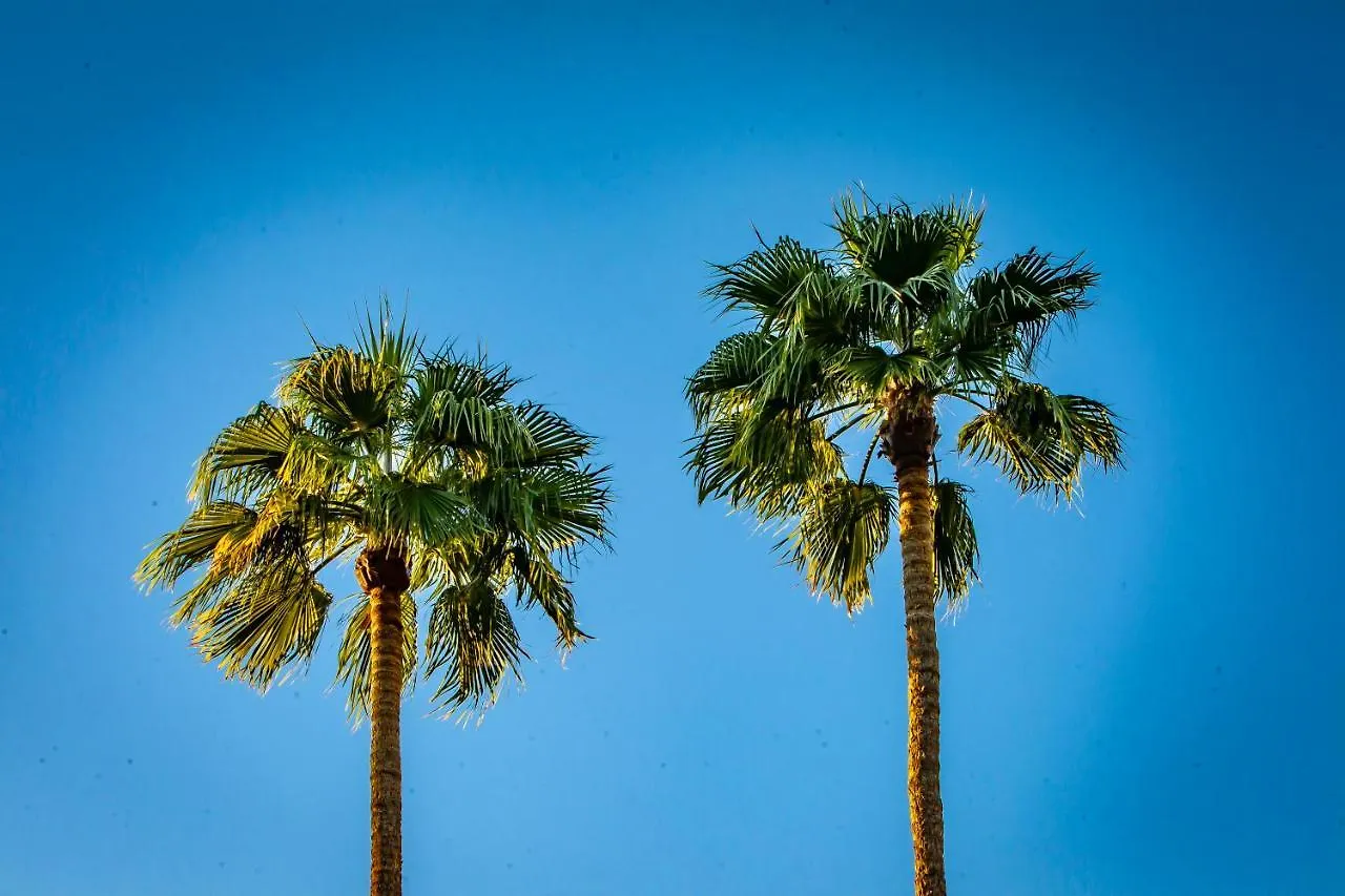 Hotel California Palm Springs 3*,  United States